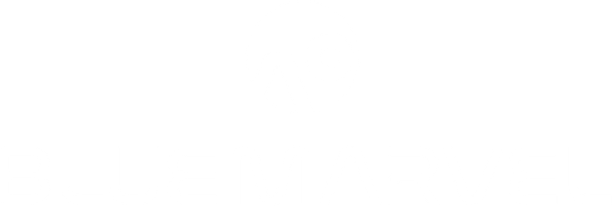 BlueMarvel AI Company Logo